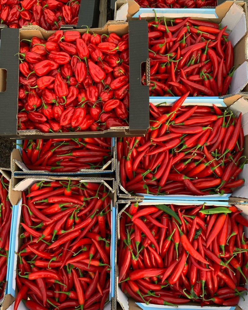 Crates and boxes of fresh chili peppers