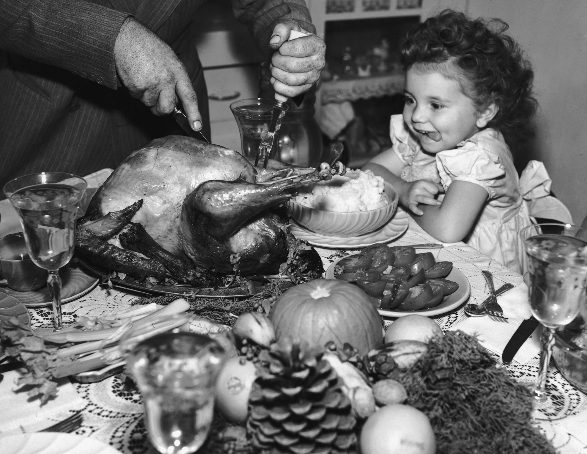 thanksgiving-dinner-s-hero-a-turkey-s-history-the-hawkker-blog