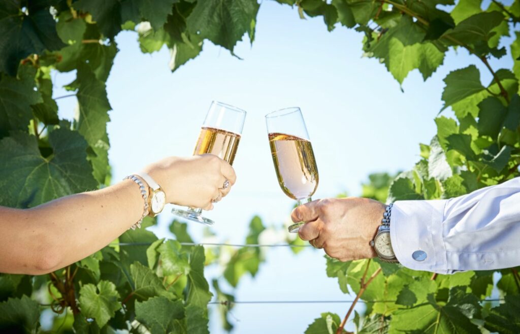 Fairmile Vineyard: discover the sparkling English wines of the Chilterns