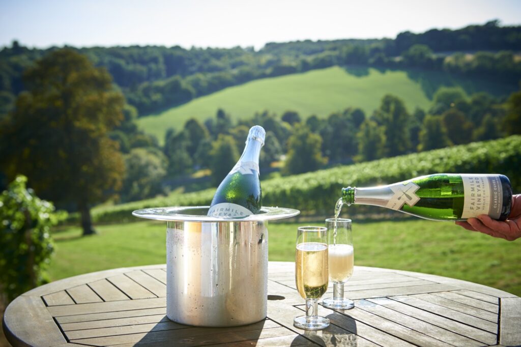 View of Chiltern Hills from Fairmile Vineyard tasting