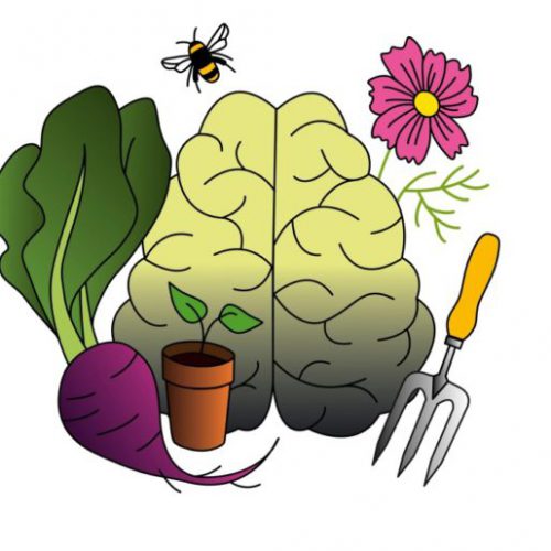 Growing for Wellbeing Week